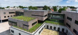 NWIR Vegetated Roof