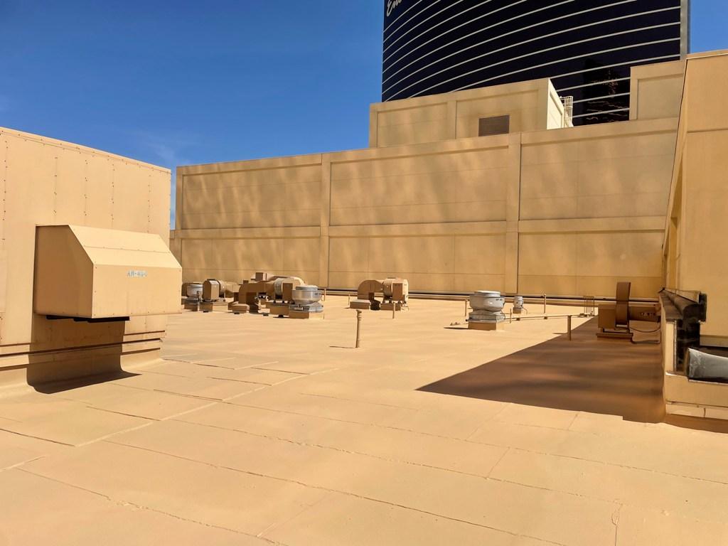 Wynn 2.jpg
