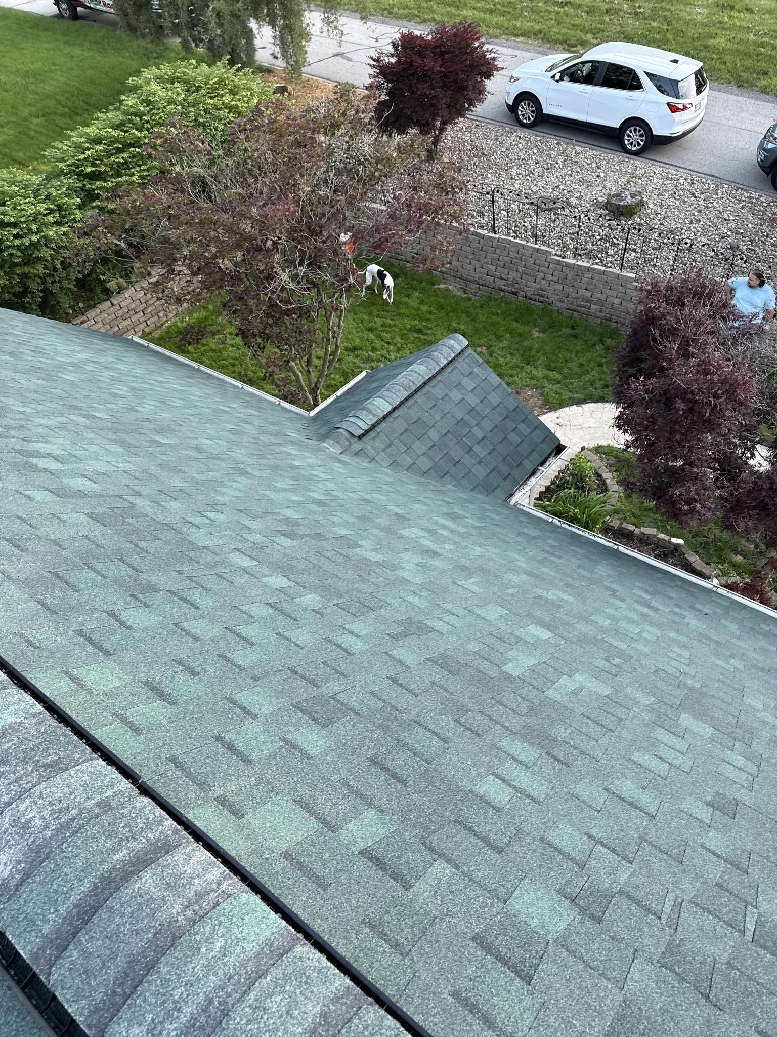 EAS Roofing - Gallery