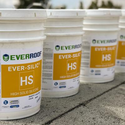Ever-Silic HS EverRoof
