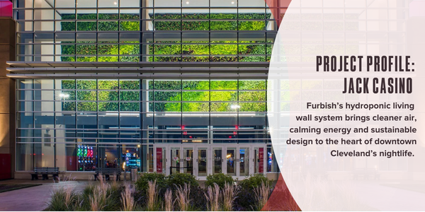 Project profile: JACK Casino