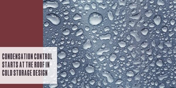 Condensation control starts at the roof in cold storage design