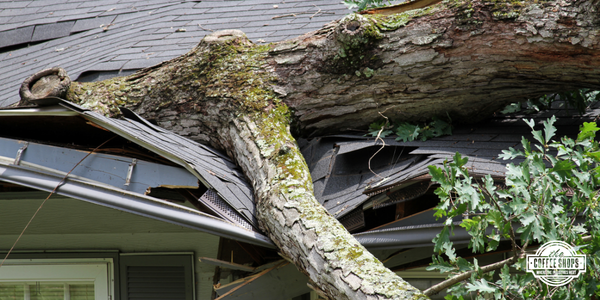 Stay informed in the aftermath of a storm