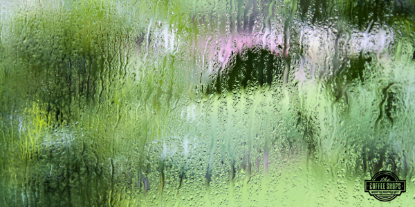 Why early roof preparation matters this spring