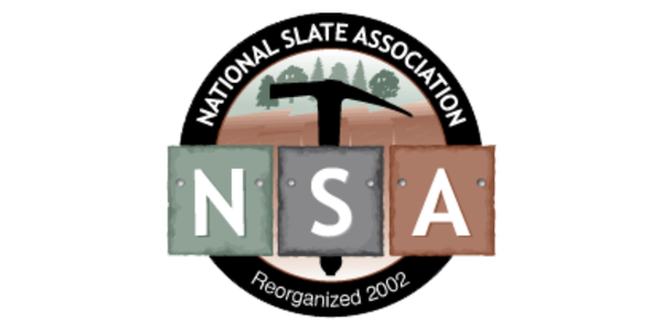 NSA - logo