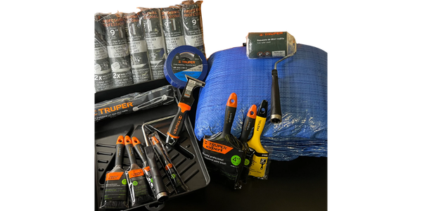 Wryker Complete Painting Essentials Kit
